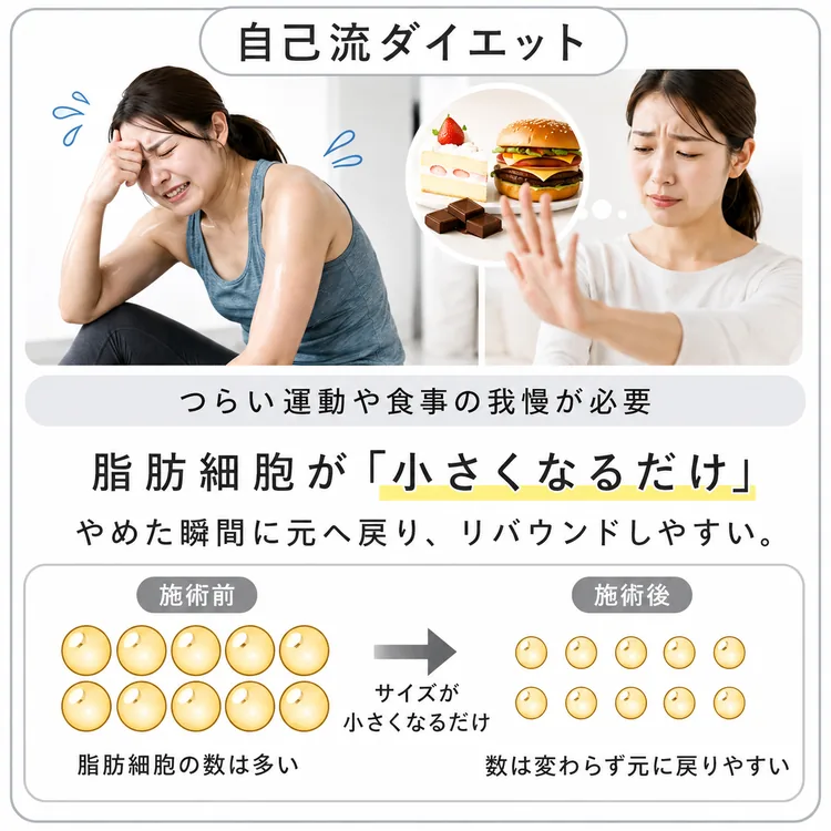 自己流ダイエット：つらい運動や食事の我慢が必要。脂肪細胞が「小さくなるだけ」なので、やめた瞬間に元へ戻りリバウンドしやすい